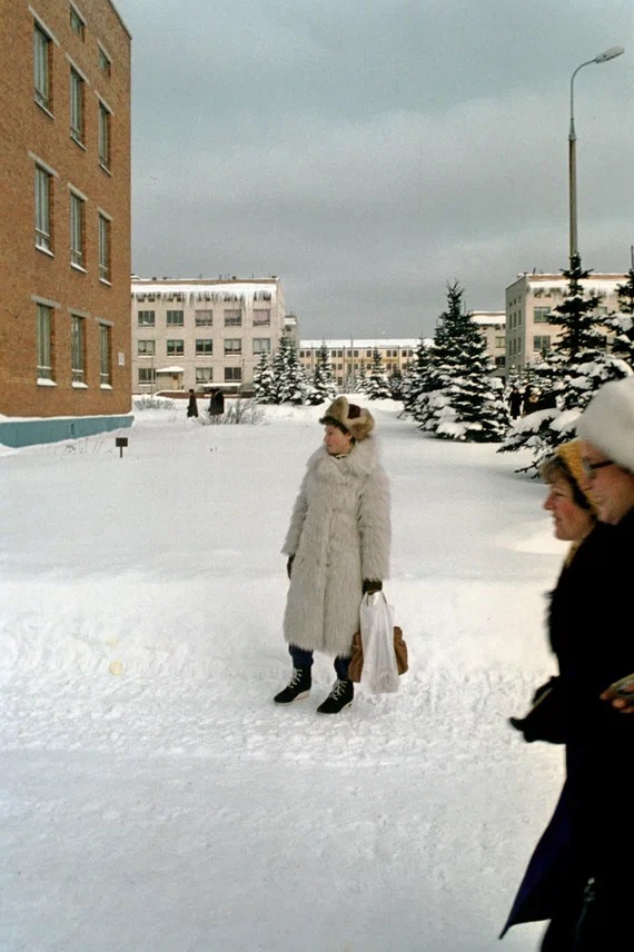 Родионова Н.В.